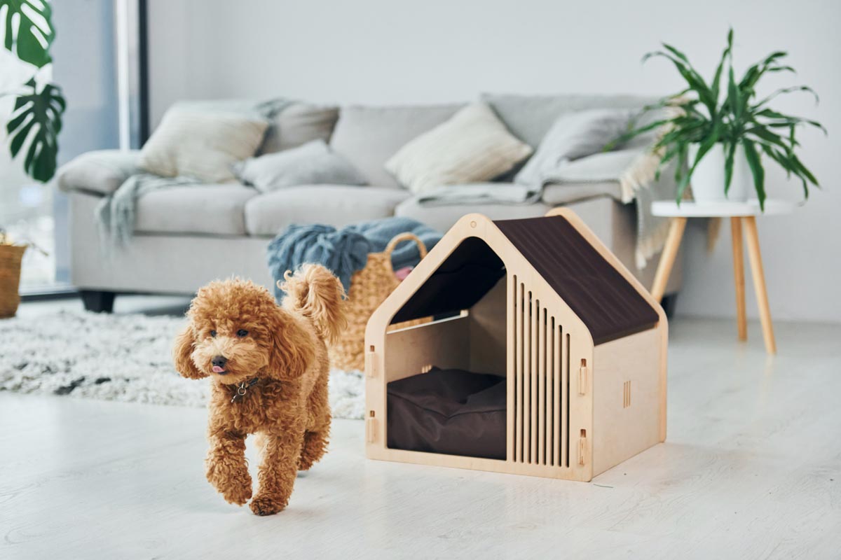 Como Preparar sua Casa para um Pet